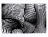 Fishnet - 2