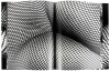 Fishnet - 5