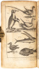 A Voyage to the South Sea, and Round the World Perform'd in the Years 1708, 1709, 1710, and 1711... - 3