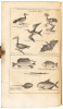 Navigantium atque Itinerantium Bibliotheca. Or, a Complete Collection of Voyages and Travels. Consisting of above Six Hundred of the Most Authentic Writers...Containing Whatever Has Been Observed Worthy of Notice in Europe, Asia, Africa & America...To Whi - 2