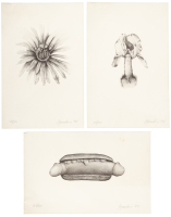 From "Ten Drawings by Sal Guardino"