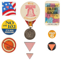 Nine political gay pins