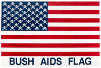 Bush AIDS Flag
