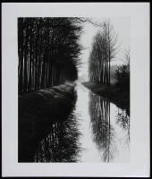 Brett Weston: Master Photographer