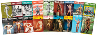 36 issues of The Male Figure