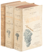 Ampelografia: Descrizione Delle Migliori Variet&agrave; Di Viti Per Uve Da Vino, Uve Da Tavola, Porta-innesti E Produttori Diretti