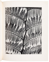 Brett Weston: Photographs