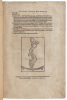 Decadibus Prima, Tertia, Quarta...Duplex Epitome - 2