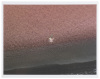 [Misrach] - 2