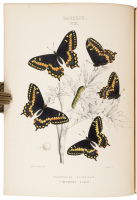 The Butterflies of North America