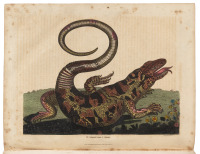 A Natural History, General and Particular...