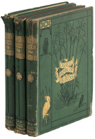 Cassell's Book of Birds