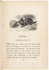 Through the Looking Glass, and What Alice Found There - 3