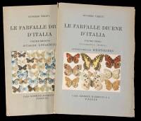 Le Farfalle Diurne D'Italia