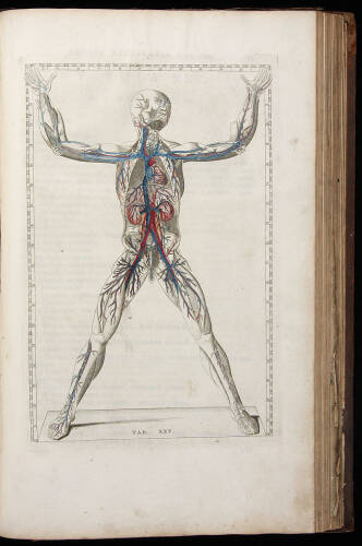 Explicatio Tabularum Anatomicarum Bartholomaei Eustachii, Anatomici Summi