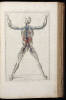 Explicatio Tabularum Anatomicarum Bartholomaei Eustachii, Anatomici Summi