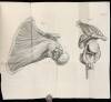 A Case of an Extra-Uterine Foetus. [In: Medical Observations and Inquiries, Vol. II]