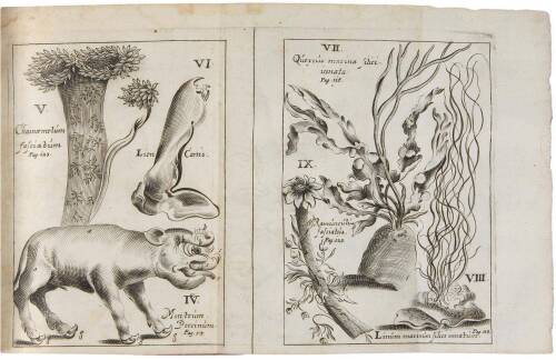 Acta Medica & Philosophiae Hafniensia