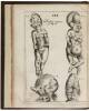 Acta Medica & Philosophiae Hafniensia - 2