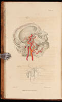 Engravings of the Arteries; Illustrating the Anatomy of the Human Body, and Serving as an Introduction to the Surgery of the Arteries.