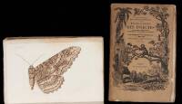 Histoire Naturelle des Insectes, Orthopteres, Nevropteres, Hemipteres, Hymenopteres, Lepidopteres, et Dipteres