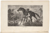 A La California: Sketches of Life in the Golden State - 2