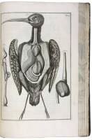 A Systeme of Anatomy, Treating the Body of Man, Beasts, Birds, Fish, Insects, and Plants...