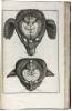 A Systeme of Anatomy, Treating the Body of Man, Beasts, Birds, Fish, Insects, and Plants... - 2