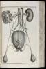 A Systeme of Anatomy, Treating the Body of Man, Beasts, Birds, Fish, Insects, and Plants... - 3