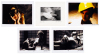 Ten erotic fetish photographs by David Rolin