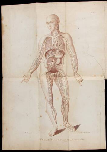 The Anatomy of the Absorbing Vessels of the Human Body
