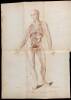 The Anatomy of the Absorbing Vessels of the Human Body