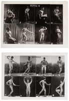 Two sampler photographs from a physique distributor
