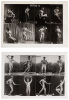 Two sampler photographs from a physique distributor