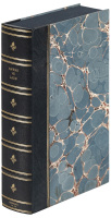 Report of the Proceedings and Evidence in the Arbitration between the King and Government of the Hawaiian Islands and Messrs. Ladd & Co.