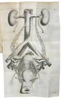 De vivorum organis Generationi inservientibus de clysteribus et de usu siphonis in anatomia