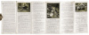 Four Yosemite pamphlets - 7
