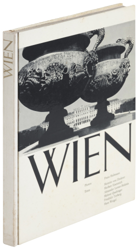 Wien: Vorstadt Europas