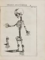 Theodori Kerckringii Doctoris Medici Spicilegivm Anatomicvm, continens Observationum Anatomicarum rariorum centuriam unam: Nec Non Osteogeniam Foetvvm, in qua Quid cuique o&szlig;icula singulis accedat mensibus, quidve decedat & in eo per varia immutetur tempor