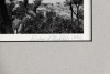 [Joshua Tree] - 2