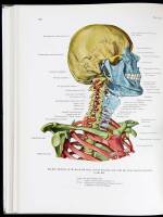 Atlas of Topographical and Applied Human Anatomy.