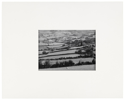 County Down, Ireland, 1967