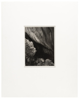 [Untitled]