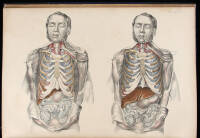 Medical Anatomy: or, Illustrations of the Relative Position and Movements of the Internal Organs