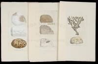 18 hand-colored plates from Sowerby's British Mineralogy and Mineral Conchology of Great Britain