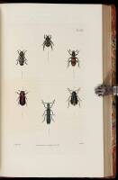 Illustrations of British Entomology; A Synopsis of Indigenous Insects: Containing Their Generic and Specific Distinctions; with an Account of Their Metamorphoses, Times of Appearance, Localities, Food, and Economy, as Far as Practicable.