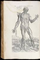[De Humani Corporis, i.e.] Andreae Vesalii Bruxellensis, scholae medicorum Patauin&aelig; professoris, De humani corporis fabrica libri septem