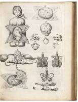 Syntagma Anatomicum Commentario Atque Appendice ex Veterum, Recentiorum, Propiisque, Observationibus, Illustratum & Auctum