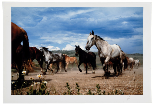 Landscape with Horses