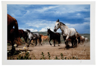Landscape with Horses